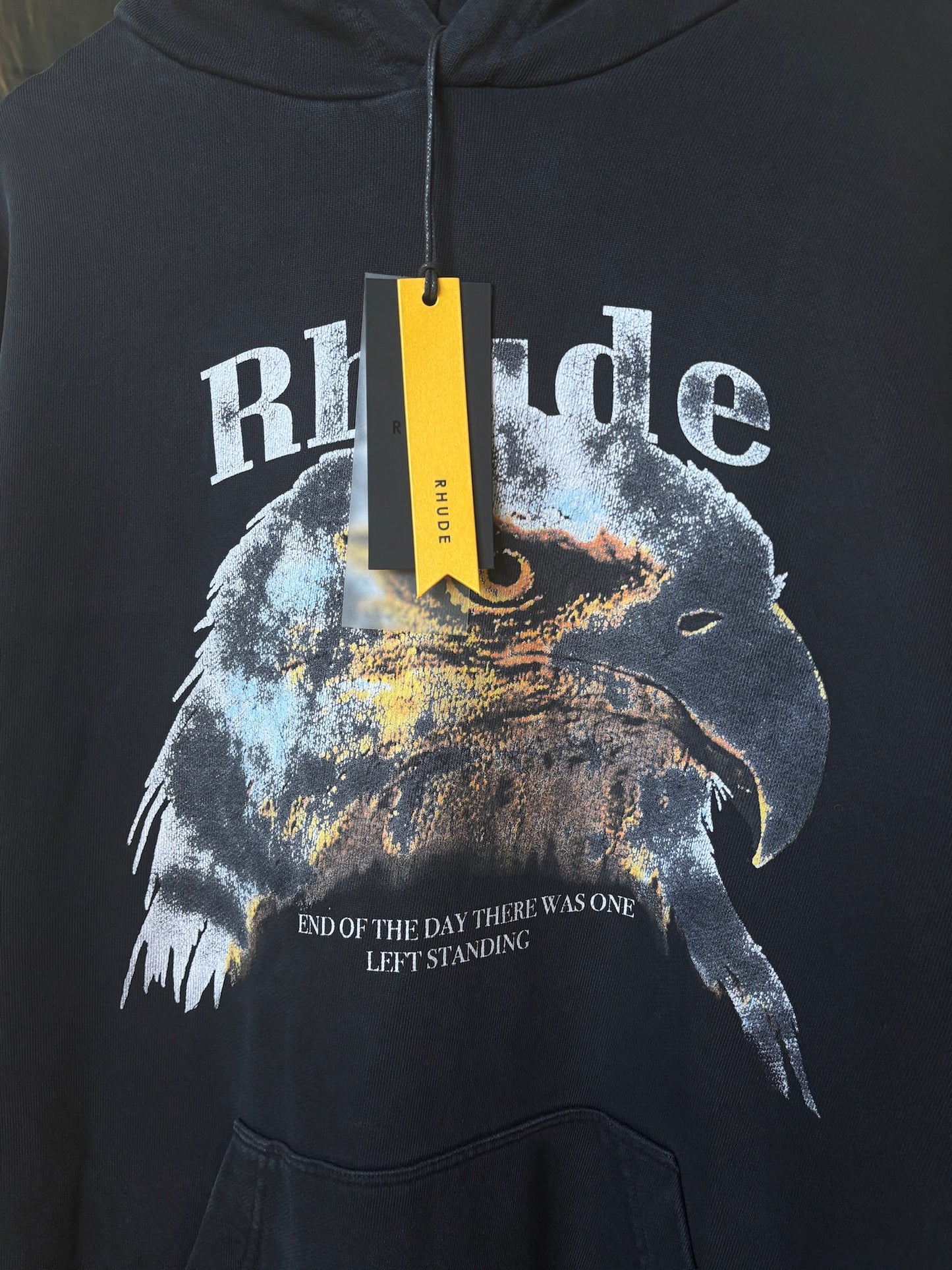 Eagle Graphic Logo Hoodie